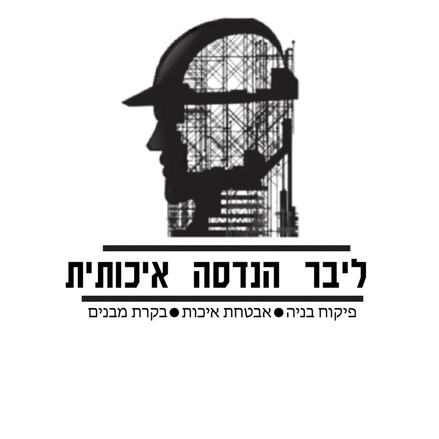 לוגו ומיתוג לחברת הנדסה